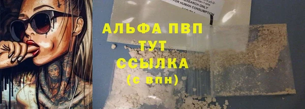 тгк Гусев