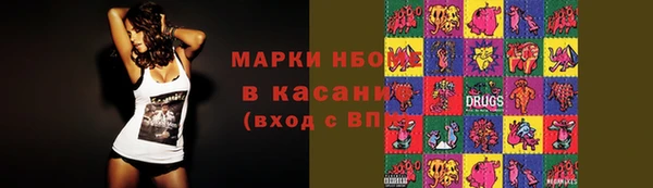 гидра Тайга
