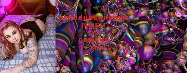тгк Гусев