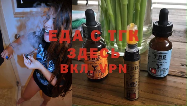 тгк Гусев